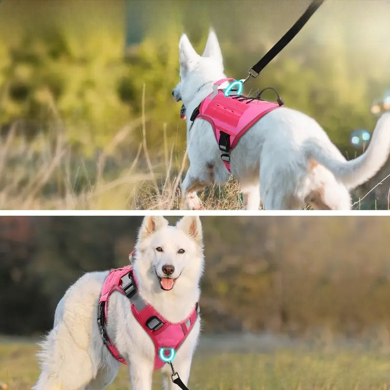 Dog Harness Vest